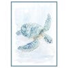 Sea Turtle