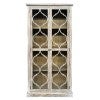 Mirielle Recycled Timber & Glass 2 Door Cabinet / Bookcase