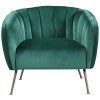 Emerald Velvet Fabric