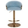 Blue Velvet Fabric / Brass