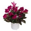 Fuchsia Flower